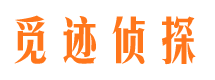 西丰市调查公司